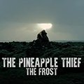 Nieuw album en video The Pineapple Thief